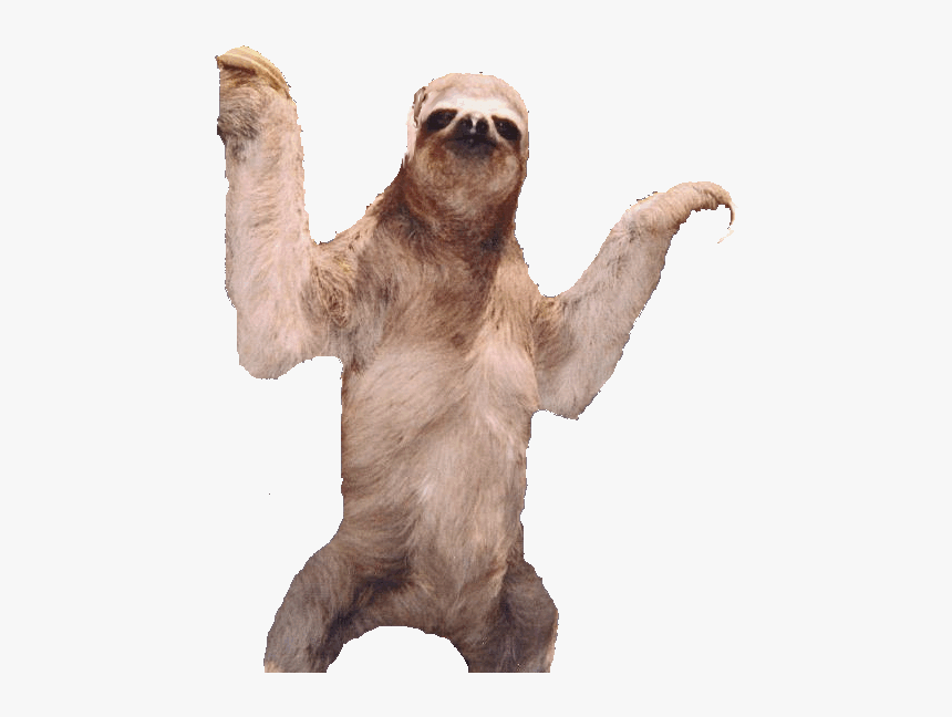 Sloth Transparent Logo, HD Png Download, Free Download