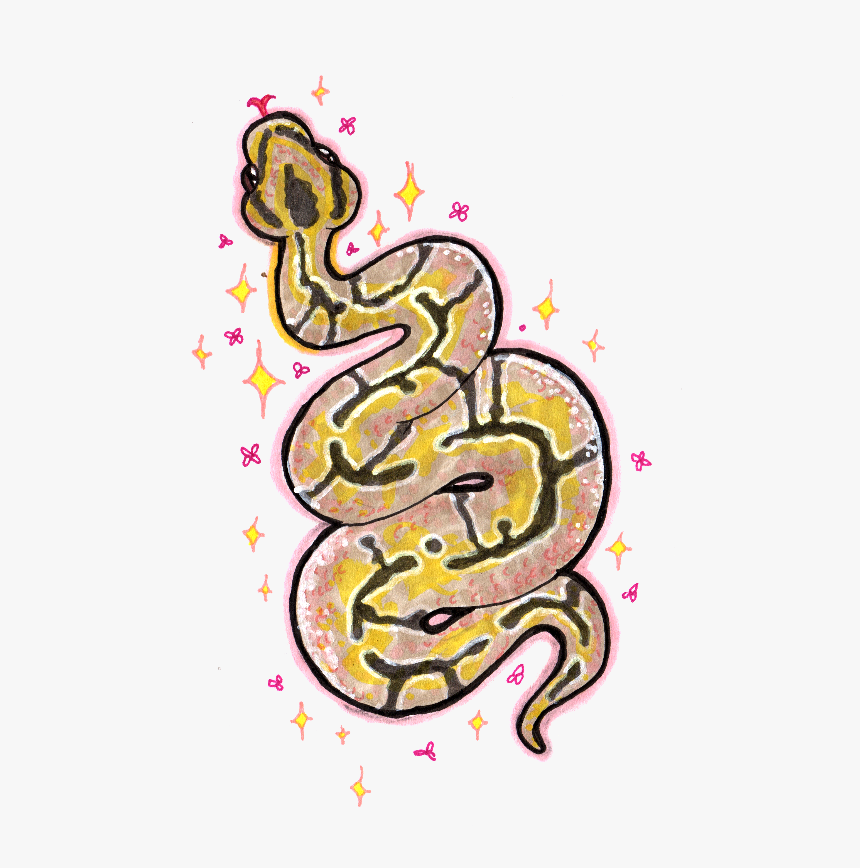 Tattoo Design For @queeenchloe - Ball Python Cute Snake Drawing Tattoo, HD Png Download, Free Download