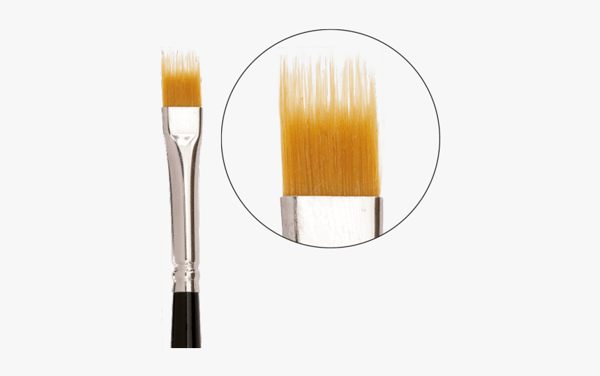 Makeup Brushes, HD Png Download, Free Download