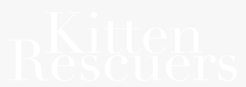 Kitten Rescuers - Calligraphy, HD Png Download, Free Download