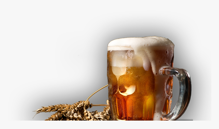 The Barley Oak - Beer And Barley Png, Transparent Png, Free Download