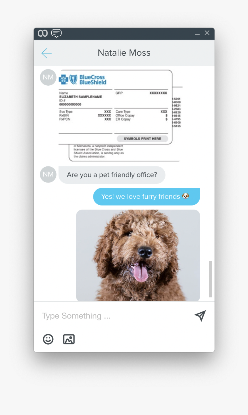 Screen Shot 2019 10 08 At - Labradoodle, HD Png Download, Free Download