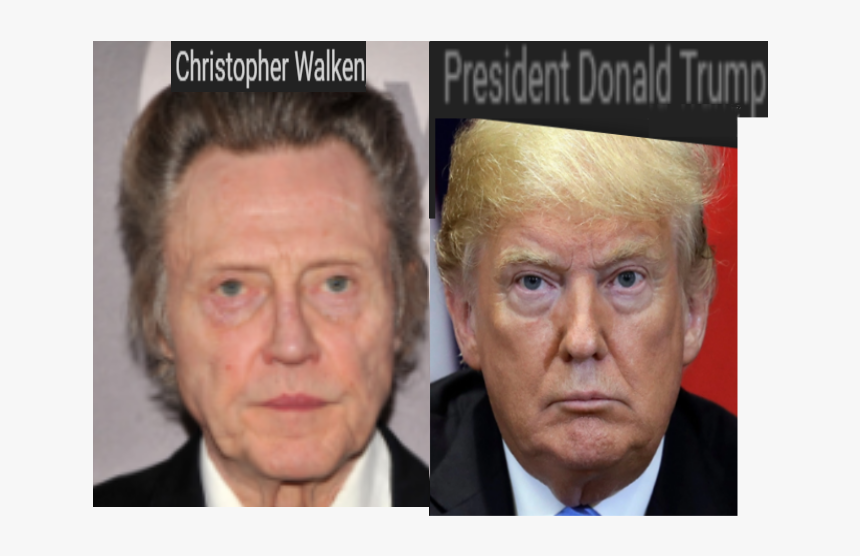 Christopher Walken Trump, HD Png Download, Free Download