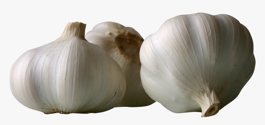 Garlics Png Image - Garlic, Transparent Png, Free Download