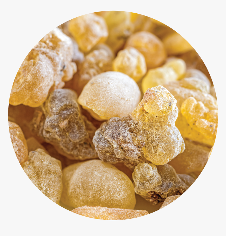 Transparent Frankincense Png - Frankincense Free, Png Download, Free Download