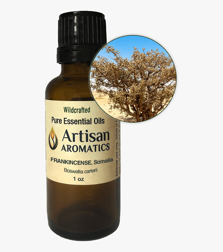 frankincense essential oil somalia ocimum basilicum products png transparent png kindpng kindpng