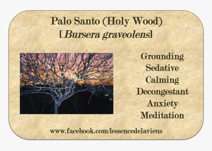 Palo Santo, HD Png Download, Free Download