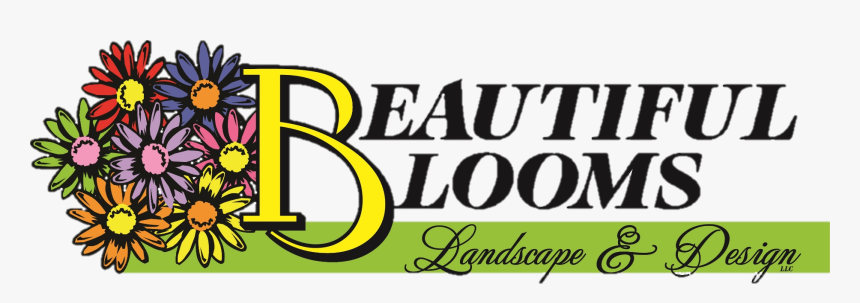 Beautiful Blooms Landscape & Design, Llc Logo - Graphics, HD Png Download, Free Download