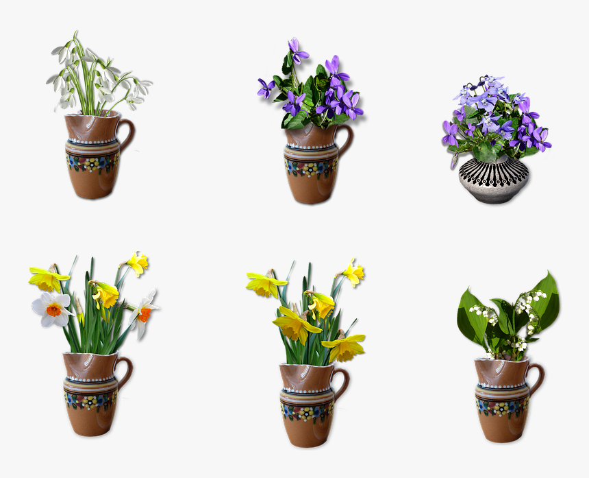 Snowdrop, Violet, Spring, Daffodil, Lily Of The Valley - Flowerpot, HD Png Download, Free Download