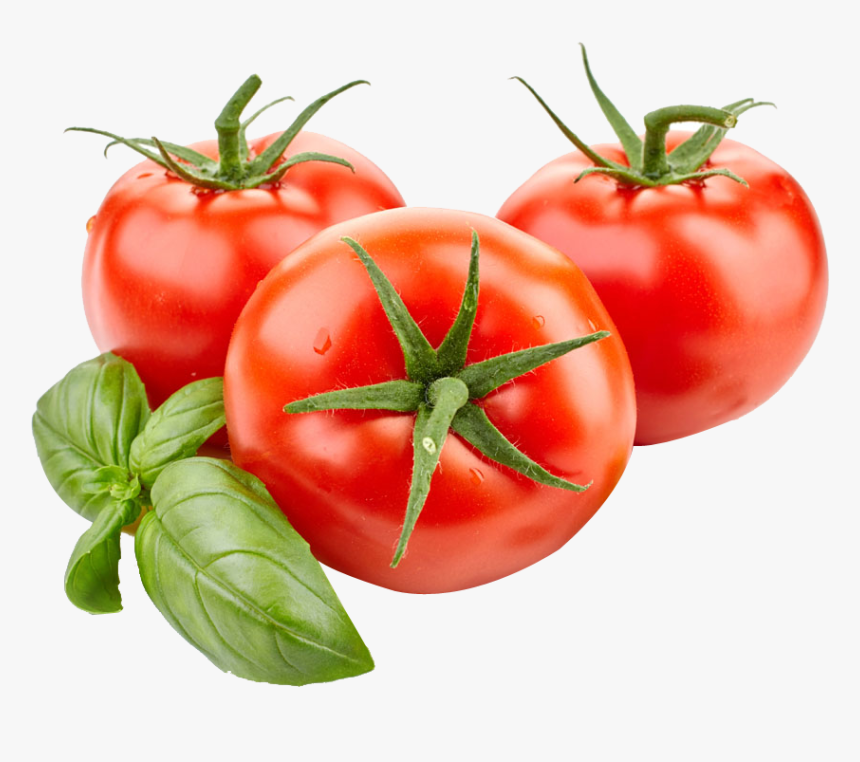 Tomato Png, Transparent Png, Free Download