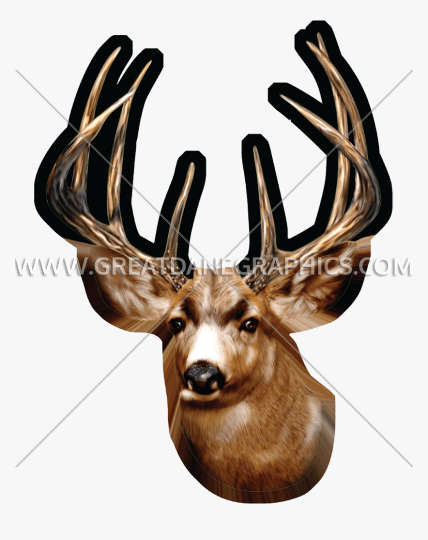 Elk, HD Png Download, Free Download