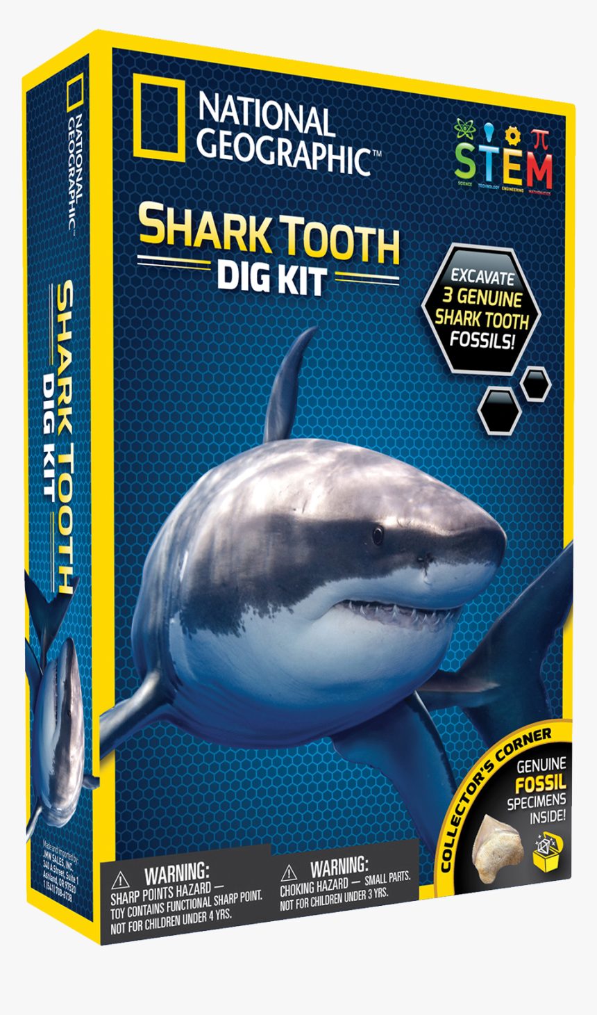 National Geographic Shark Tooth Dig Kit, HD Png Download, Free Download