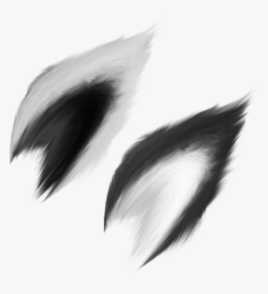 Transparent Ear Png - Wolf Ears Transparent Png, Png Download, Free Download