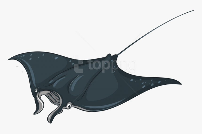 Download Skate Fish Clipart Png Photo - Manta Ray Clipart, Transparent Png, Free Download