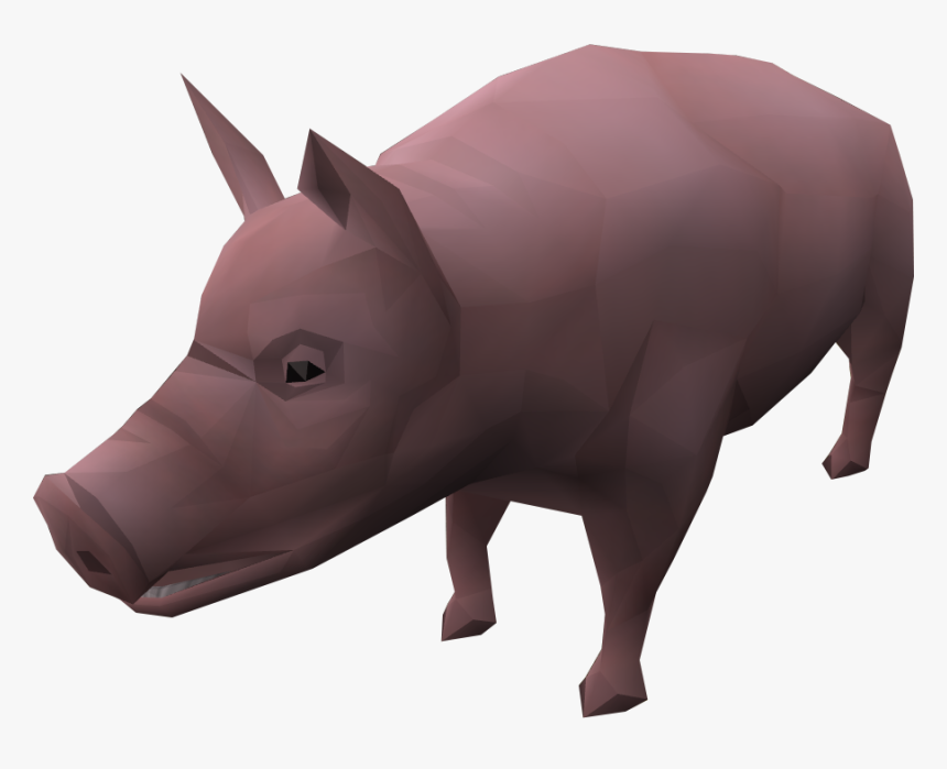 Domestic Pig, HD Png Download, Free Download