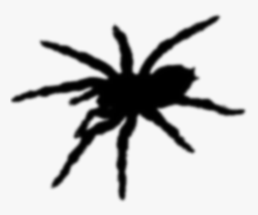 Tarantula, HD Png Download, Free Download