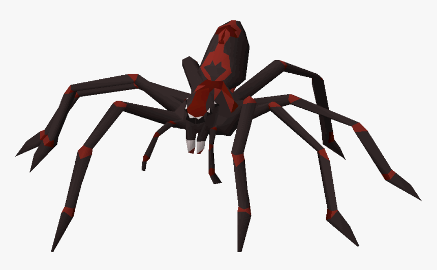 Tarantula, HD Png Download, Free Download