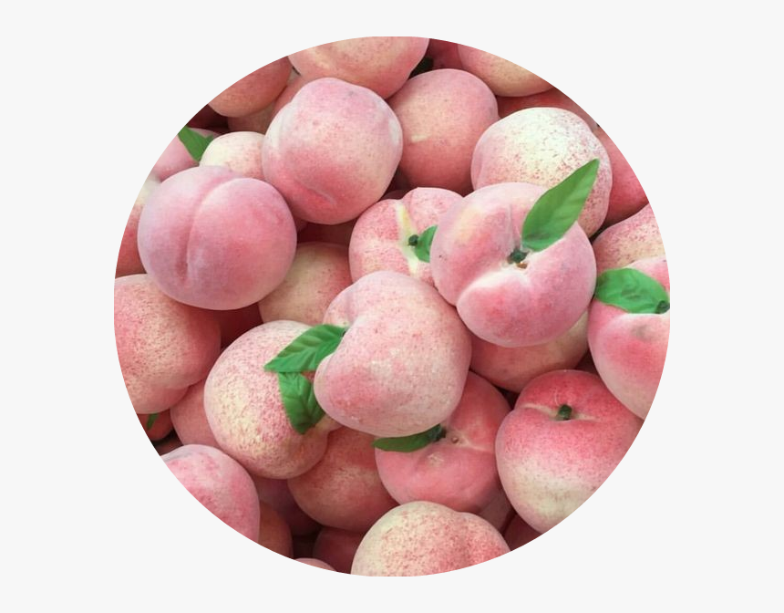 Peach Peachy Durazno Tumblr Aesthetic Cute Pink Aesthetic