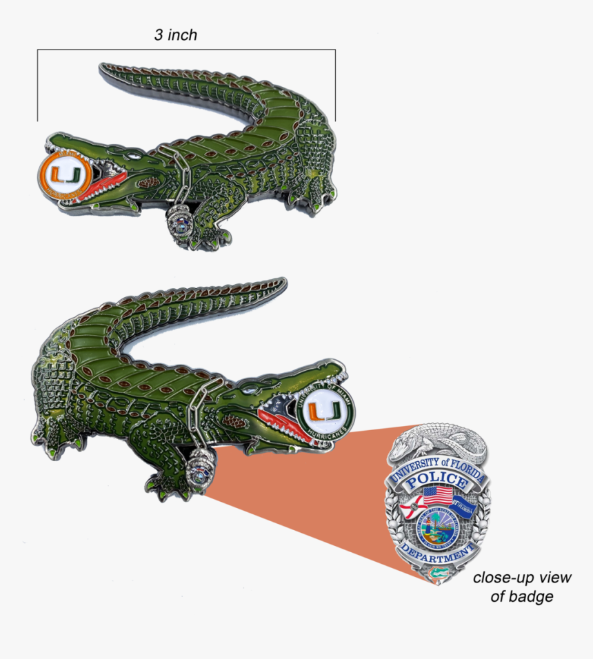 American Crocodile, HD Png Download, Free Download