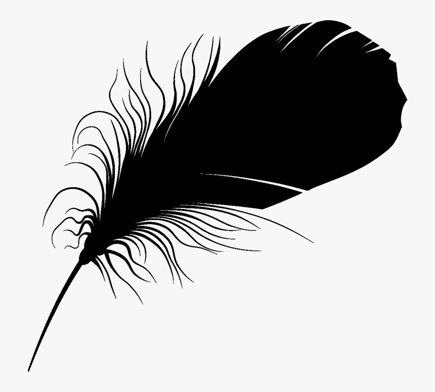 Feather Font Eyelash Beak Silhouette - Feather Vector Png, Transparent Png, Free Download
