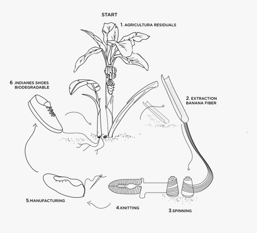 Zapatos Con Fibra De Platano, HD Png Download, Free Download