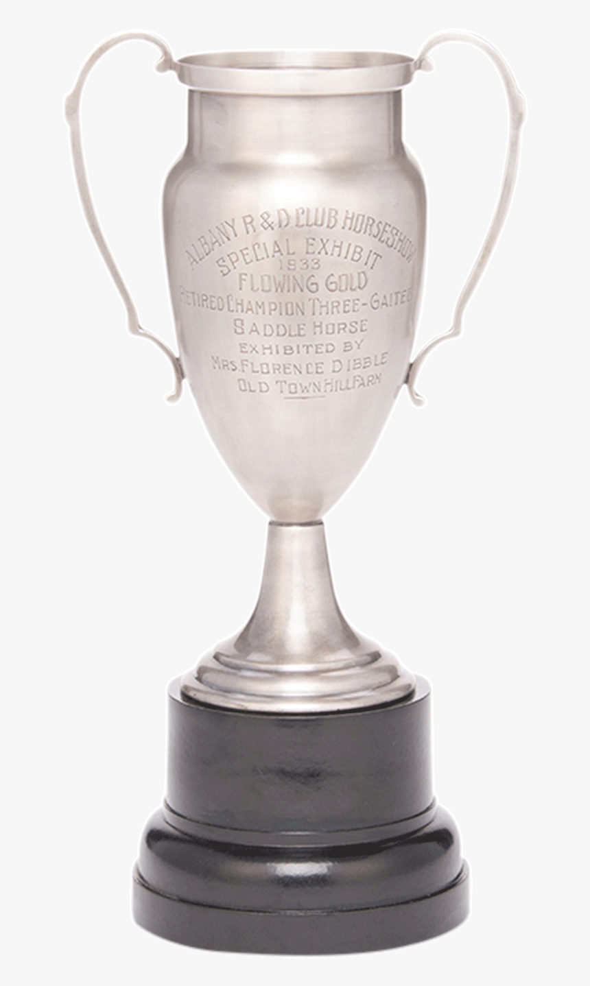 Trophy, HD Png Download, Free Download