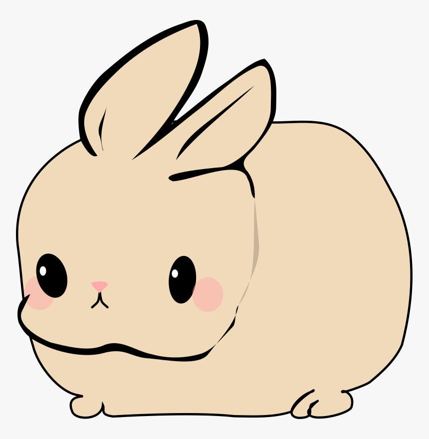 Domestic Rabbit, HD Png Download - kindpng