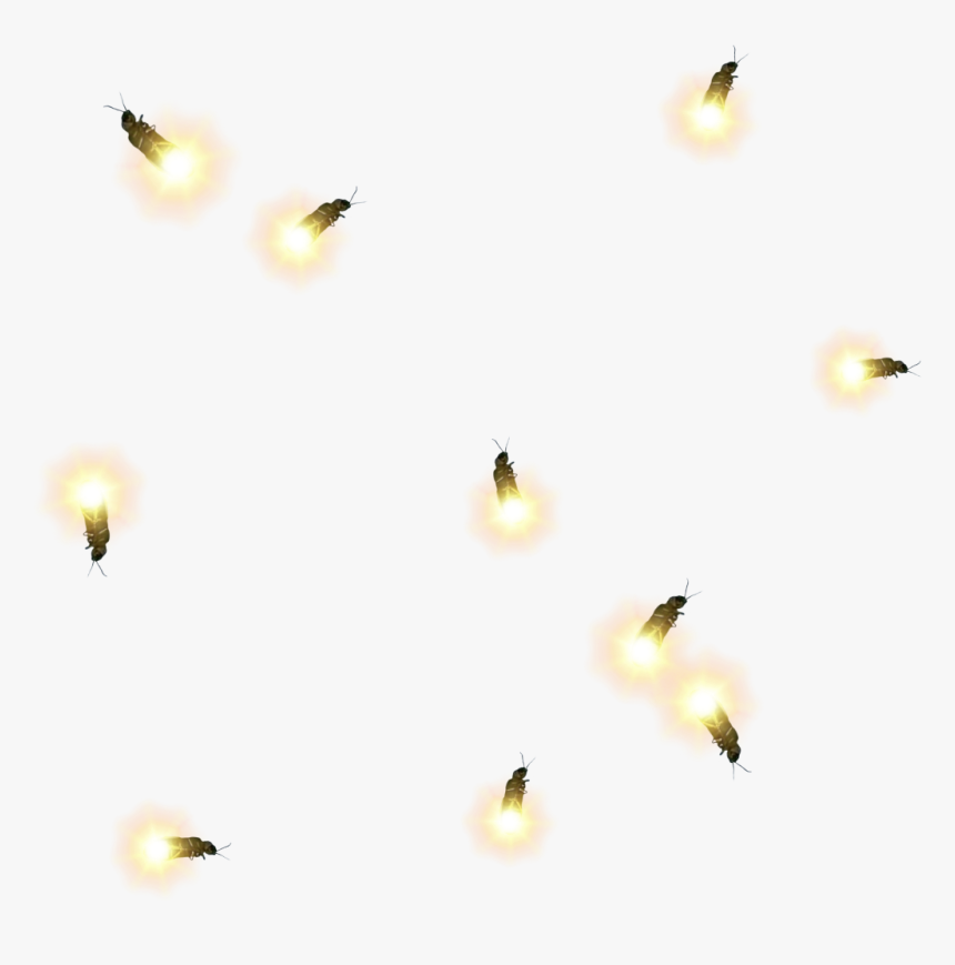 firefly fireflies lighteningbug lighteningbugs bee hd png download kindpng firefly fireflies lighteningbug