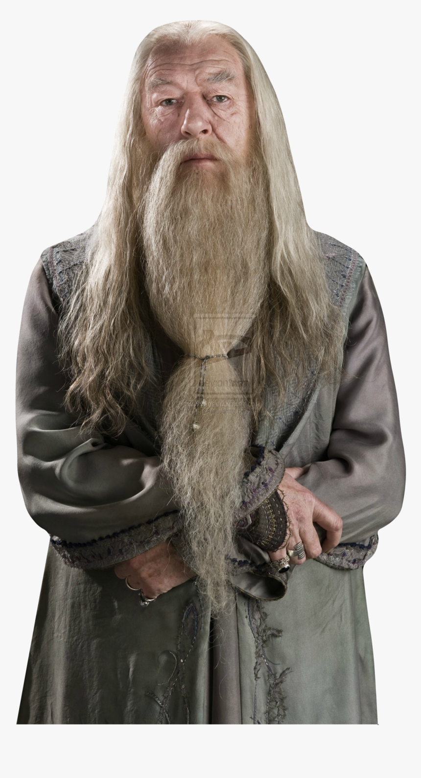 Harry Potter Humor, Always Harry Potter, Harry Potter - Albus Dumbledore, HD Png Download, Free Download