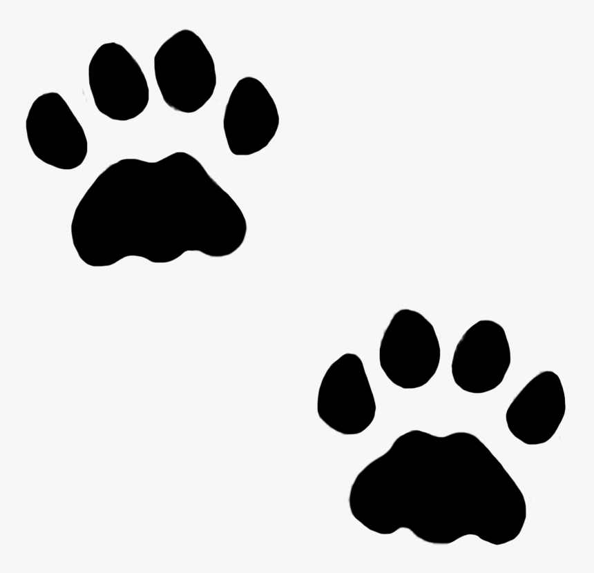 Dog Paws, Cat Paws In Snow, Cat Paw Prints, HD Png Download - kindpng