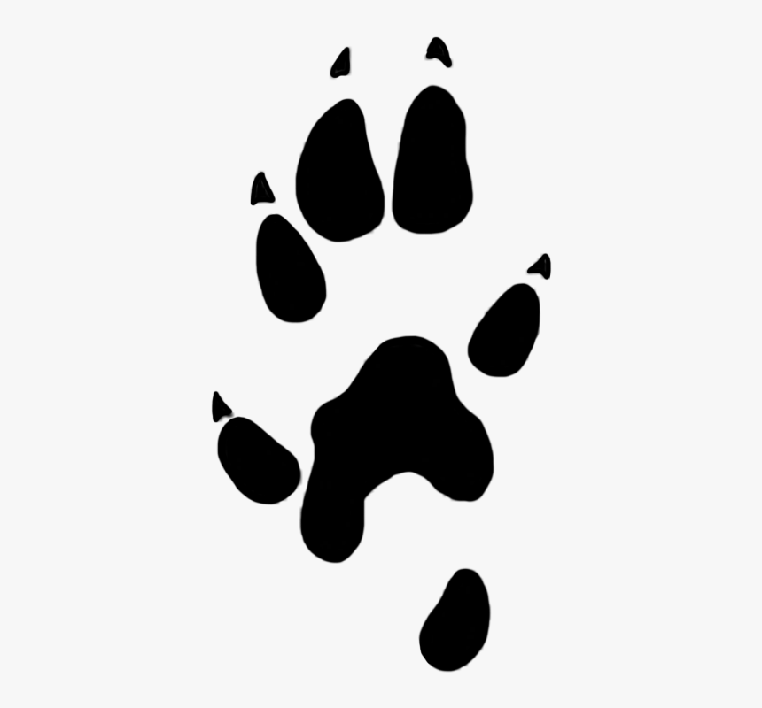 Stoat Paw Prints, HD Png Download, Free Download