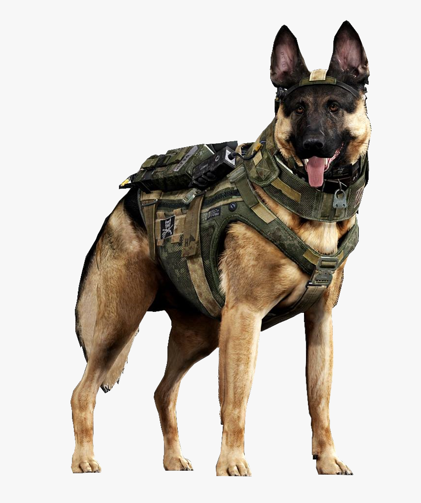 Military German Shepherd, HD Png Download, Free Download