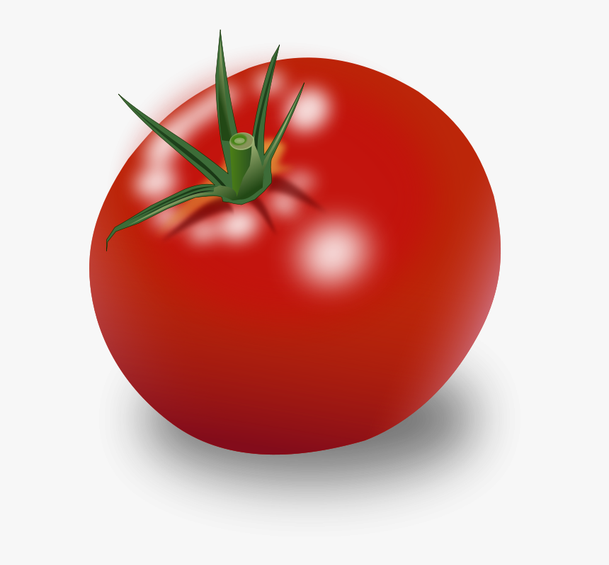 Tomato Vector Free Png - Tomato Clipart, Transparent Png, Free Download