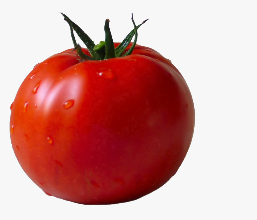 Tomatoes Png - Tomato With No Background, Transparent Png, Free Download