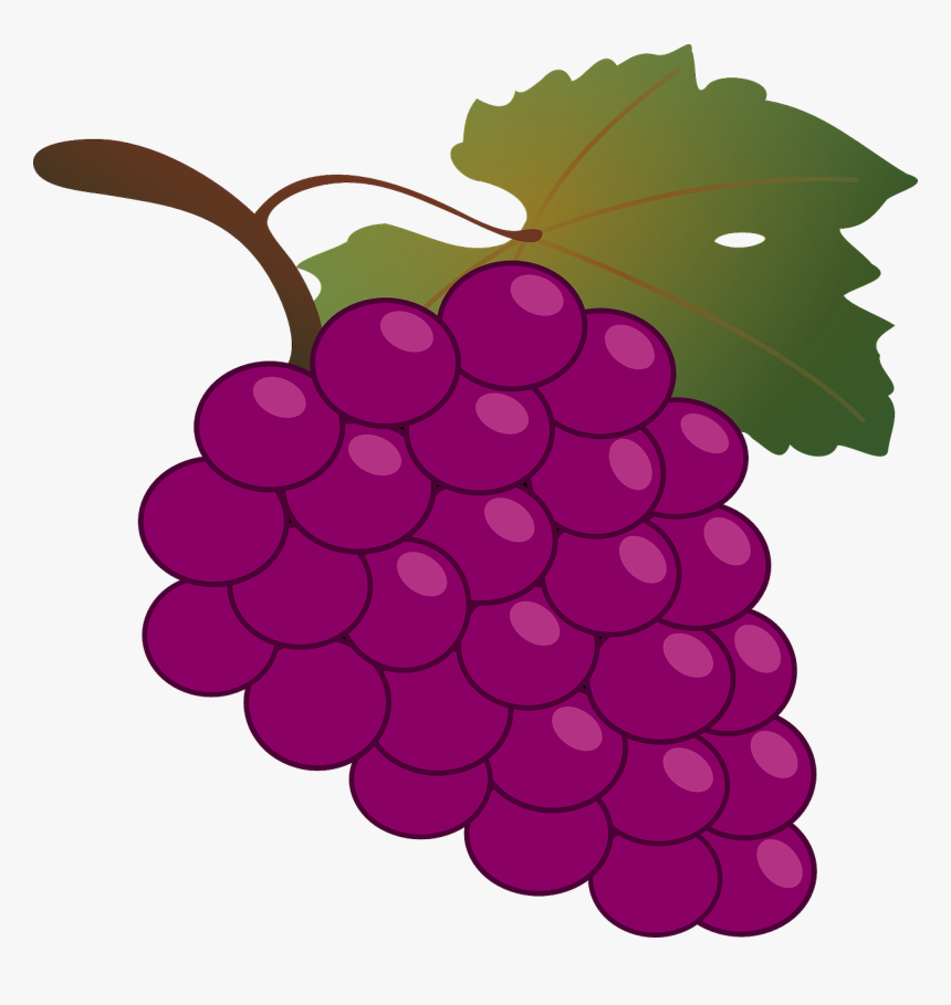 Grapes Clipart, HD Png Download, Free Download