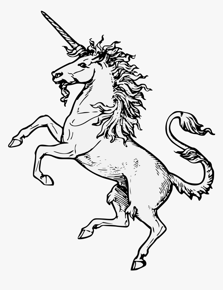 Unicorn On A Coat Of Arms, HD Png Download, Free Download