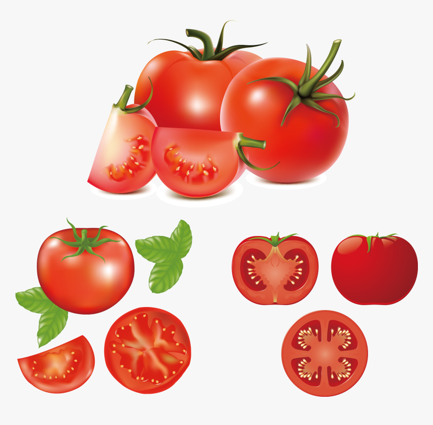 Hamburger Caprese Salad Clip Art Fresh Tomatoes - Tomato Vector, HD Png Download, Free Download