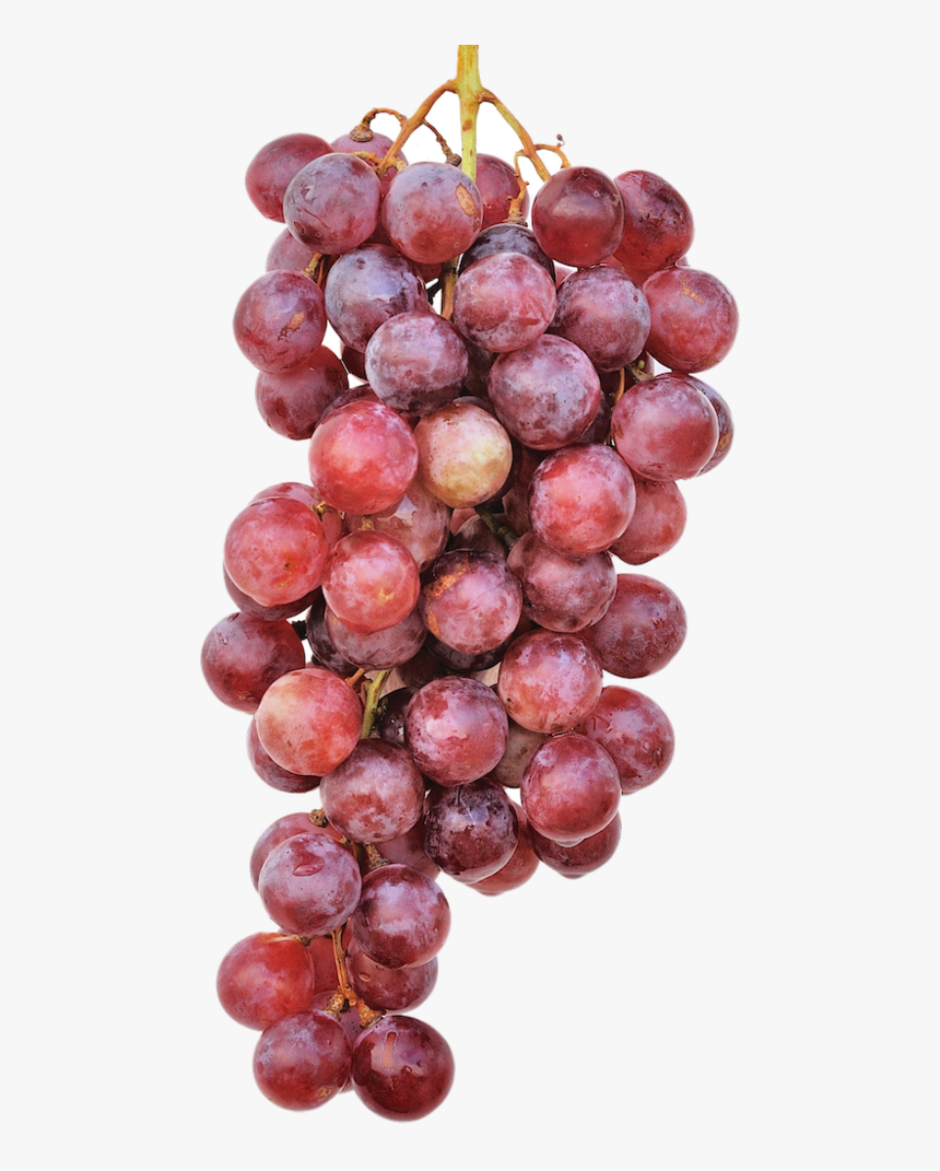 Grape, HD Png Download, Free Download