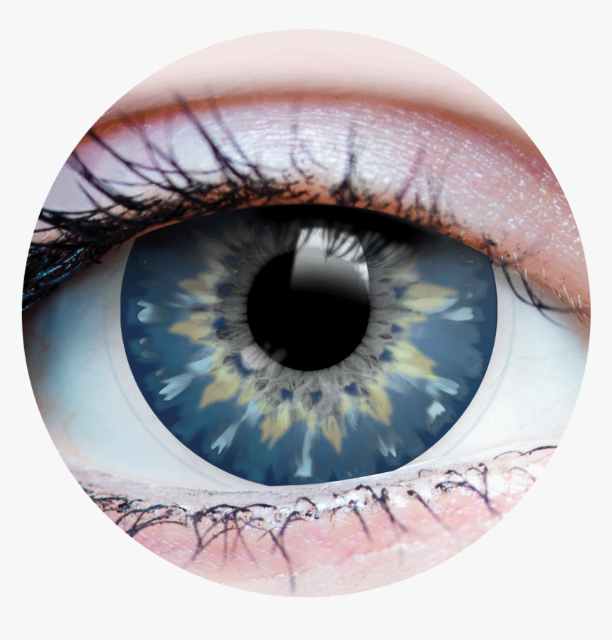 Studiofx Temptress Chestnut Contact Lenses, HD Png Download, Free Download