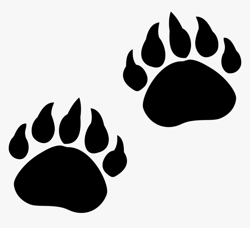 bear-paw-print-png-transparent-bear-claw-png-png-download-kindpng
