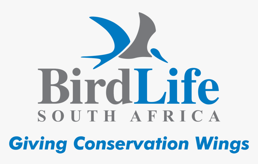 Birdlife South Africa - Birdlife South Africa Logo, HD Png Download, Free Download