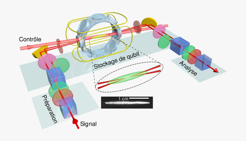 Memory - Polarization Light Qubit, HD Png Download, Free Download