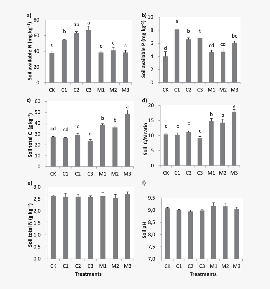 Musical Composition, HD Png Download, Free Download