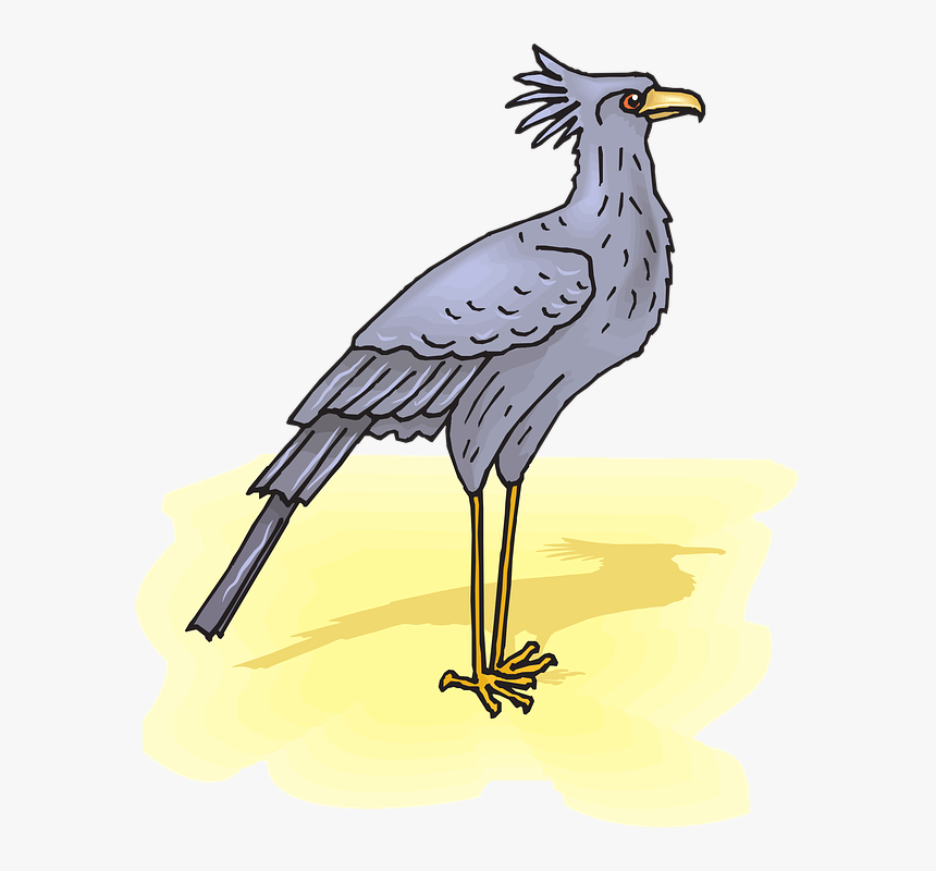 Secretary, Bird, Sand, Shadow, Wings, Feathers - Secretary Bird Transparent, HD Png Download, Free Download