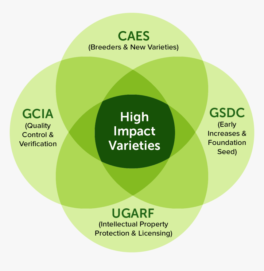 Systems Approach Infographic - Krono Original, HD Png Download, Free Download