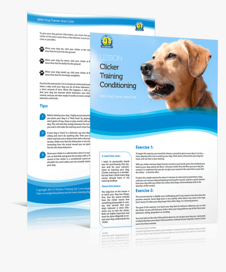 Labrador Retriever, HD Png Download, Free Download