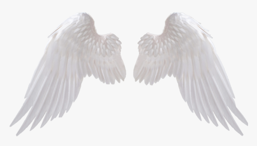 #icon #white #angel #angels #angelbaby #w #h #i #t - Transparent Angel Wings Png, Png Download, Free Download