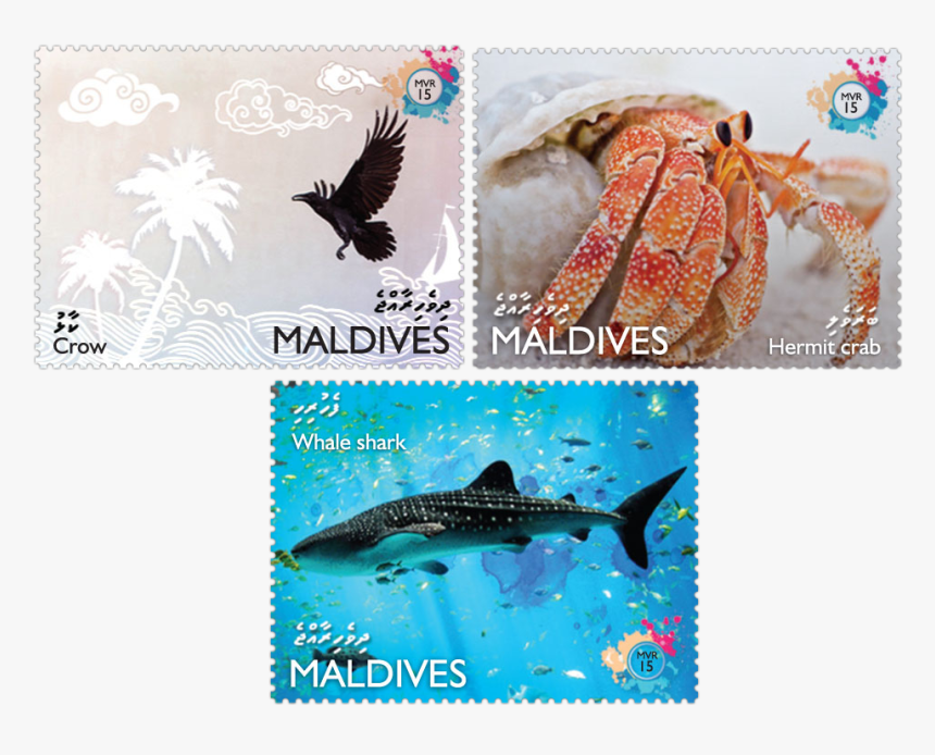 Issue Of Maldives Postage Stamps - Maldives Stamps, HD Png Download, Free Download