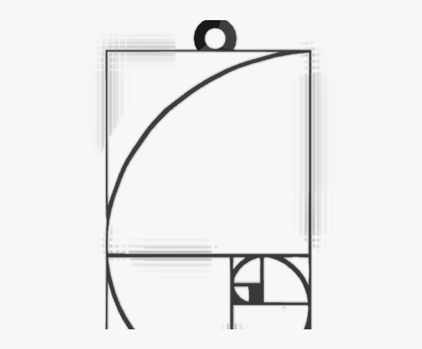 Fibonacci Sequence In Nature , Png Download - Fibonacci Sequence In Nature, Transparent Png, Free Download