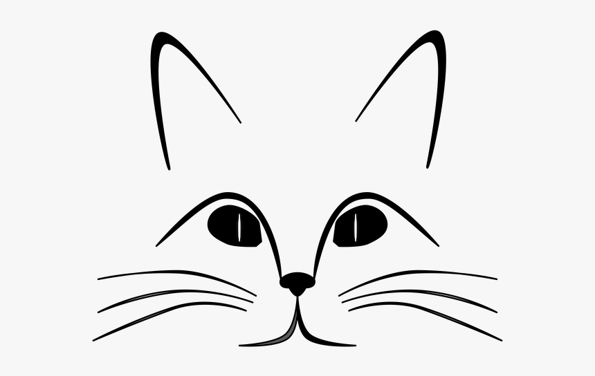 Cat Face Outline - Sense Organs Of Animals, HD Png Download, Free Download
